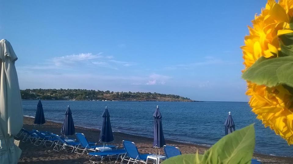 Armonia Houses Tsonia Zewnętrze zdjęcie