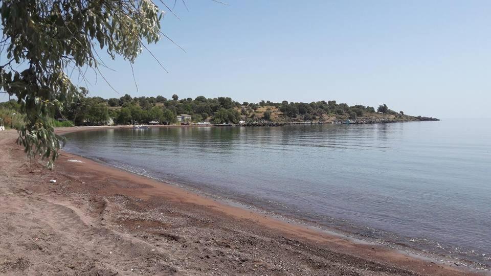 Armonia Houses Tsonia Zewnętrze zdjęcie
